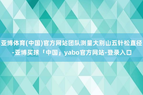 亚博体育(中国)官方网站团队测量大别山五针松直径-亚博买球「中国」yabo官方网站-登录入口