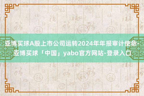 亚博买球A股上市公司运转2024年年报审计使命-亚博买球「中国」yabo官方网站-登录入口