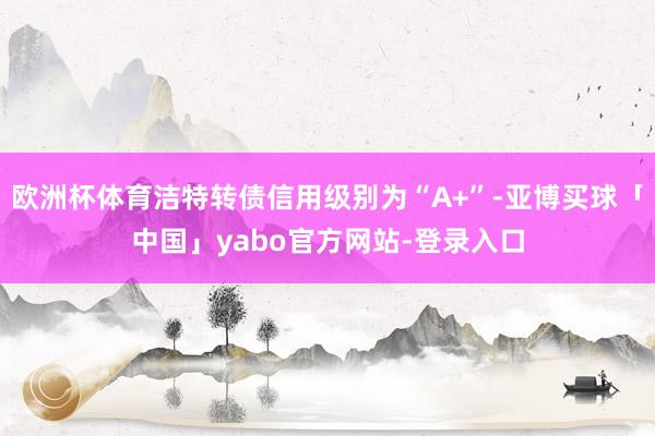 欧洲杯体育洁特转债信用级别为“A+”-亚博买球「中国」yabo官方网站-登录入口