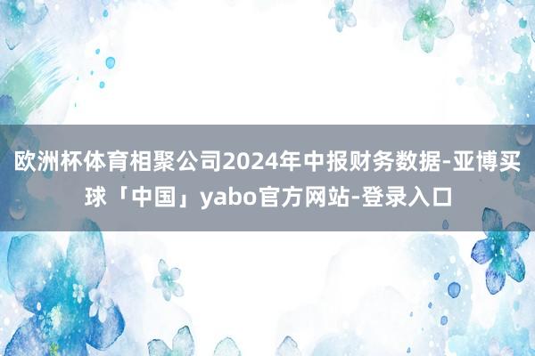欧洲杯体育相聚公司2024年中报财务数据-亚博买球「中国」yabo官方网站-登录入口