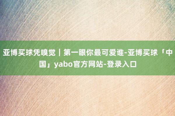 亚博买球凭嗅觉｜第一眼你最可爱谁-亚博买球「中国」yabo官方网站-登录入口