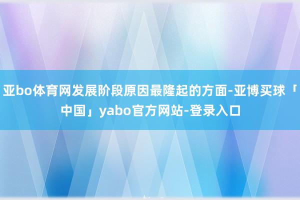 亚bo体育网发展阶段原因最隆起的方面-亚博买球「中国」yabo官方网站-登录入口