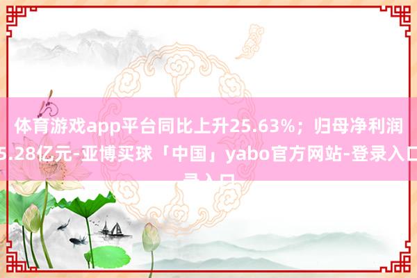 体育游戏app平台同比上升25.63%；归母净利润5.28亿元-亚博买球「中国」yabo官方网站-登录入口