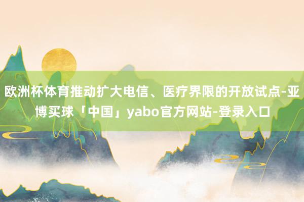 欧洲杯体育推动扩大电信、医疗界限的开放试点-亚博买球「中国」yabo官方网站-登录入口