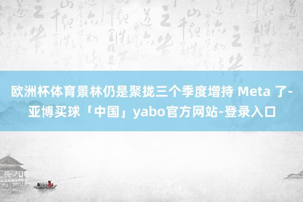 欧洲杯体育景林仍是聚拢三个季度增持 Meta 了-亚博买球「中国」yabo官方网站-登录入口