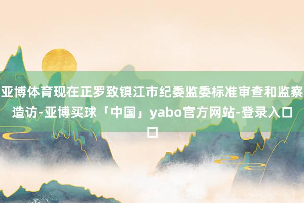 亚博体育现在正罗致镇江市纪委监委标准审查和监察造访-亚博买球「中国」yabo官方网站-登录入口