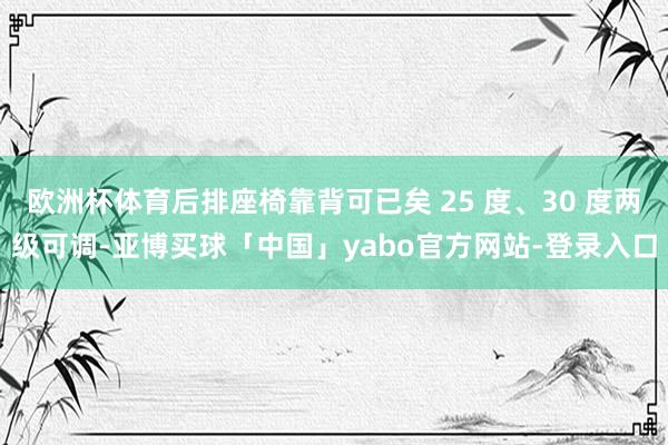 欧洲杯体育后排座椅靠背可已矣 25 度、30 度两级可调-亚博买球「中国」yabo官方网站-登录入口
